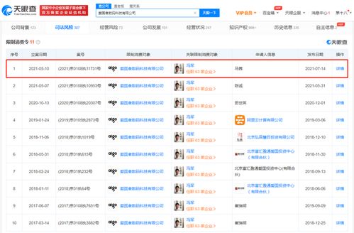 愛國者公司被限制高消費，計算機軟硬件業務面臨挑戰